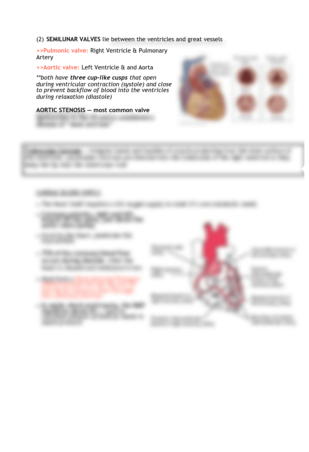 ADULT CARDIAC.pdf_dovf4epc6qv_page4