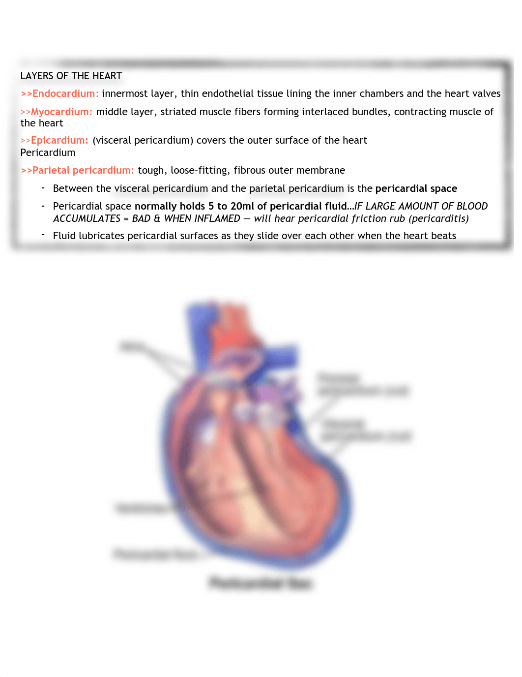 ADULT CARDIAC.pdf_dovf4epc6qv_page2