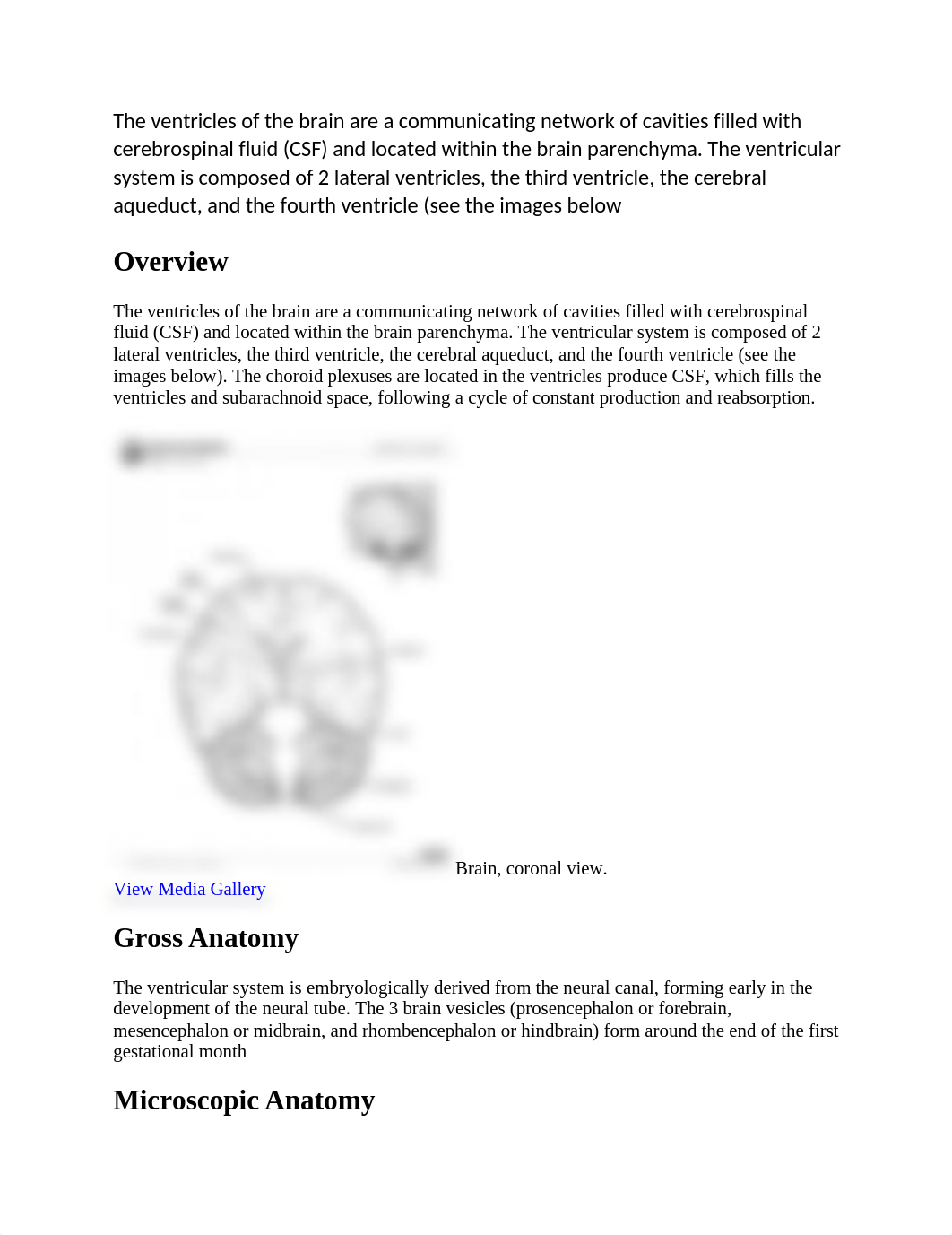 A&P Unit 5 CH 13 CSF and brain ventricles pic and details.docx_dovircx3qv9_page1