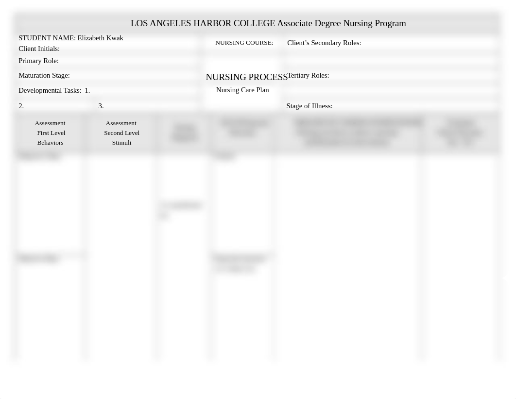 Nursing Care Plan TMEPLATE.docx_dovjrpiq7y5_page1