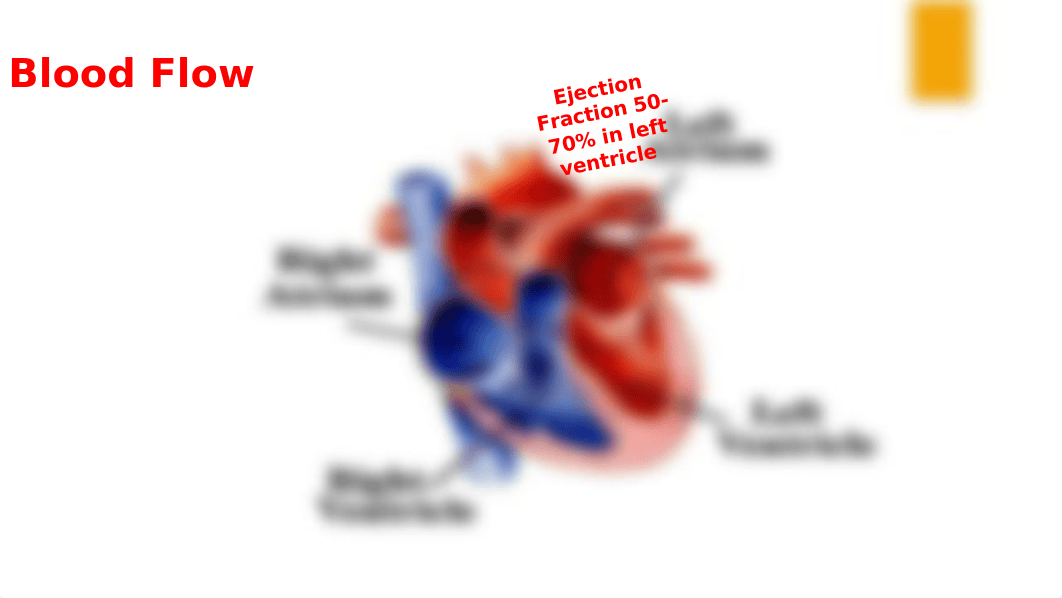 Week 11 Congestive Heart Failure.pptx_dovk9wg4zbq_page2