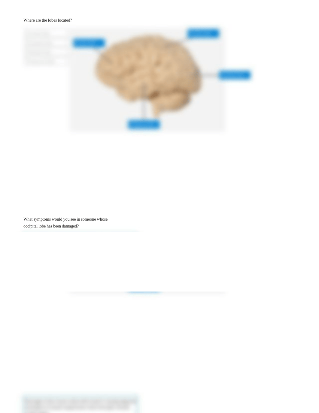 Brain Structure and Pathways report.pdf_dovn7krap4i_page2