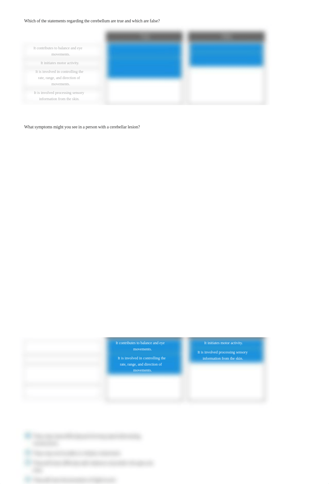 Brain Structure and Pathways report.pdf_dovn7krap4i_page4