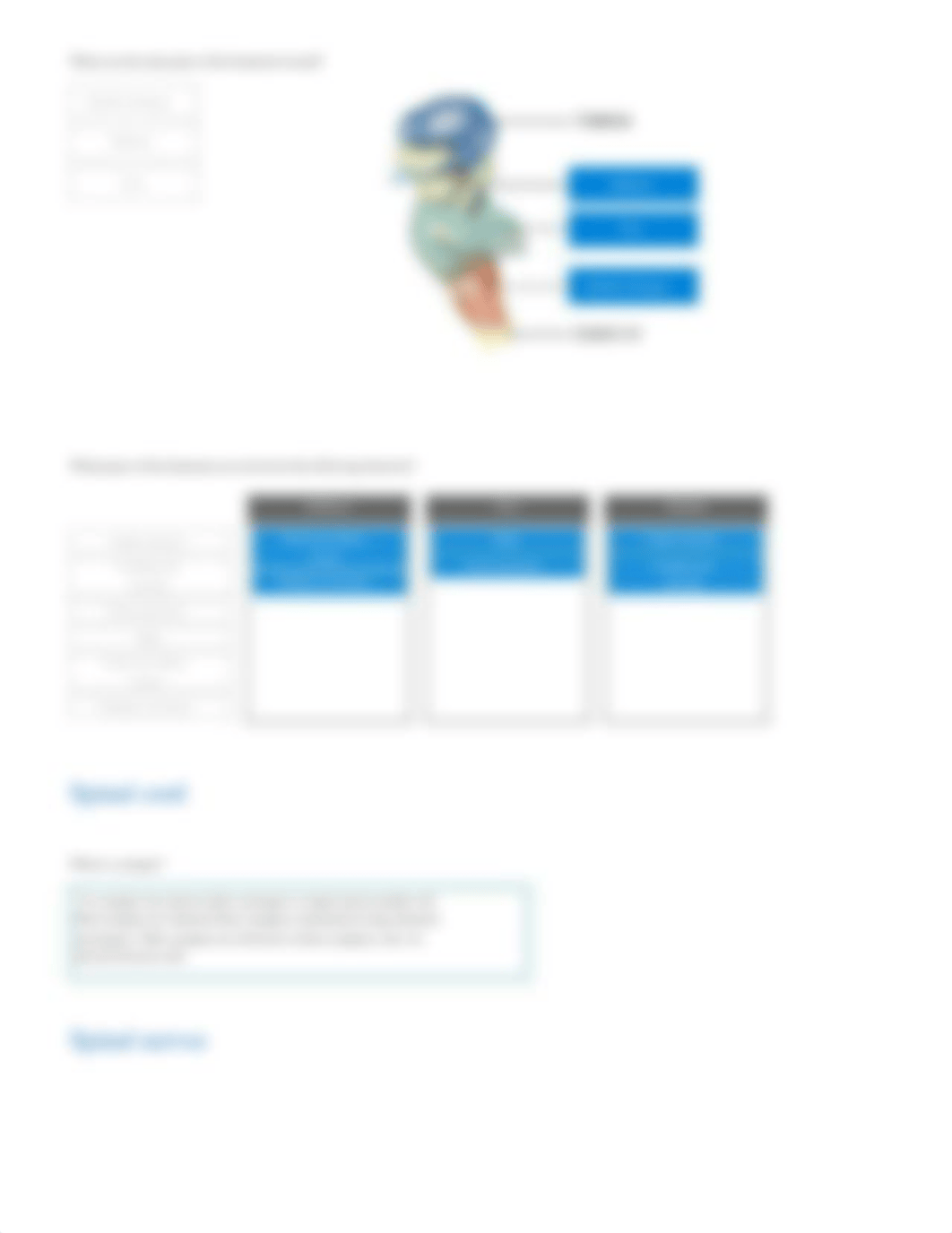 Brain Structure and Pathways report.pdf_dovn7krap4i_page5