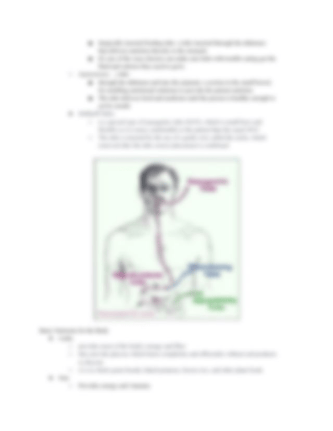 Metabolism _ Nutrition_ quizlet.docx_dovq864wtsv_page3