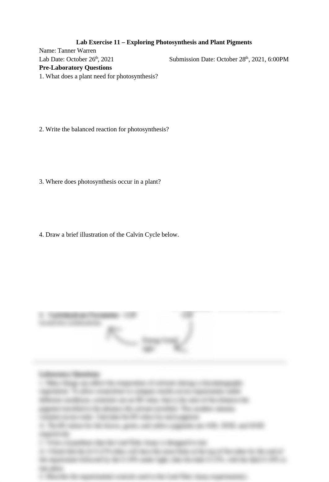 Lab Excercise 11.docx_dovsatk353a_page1