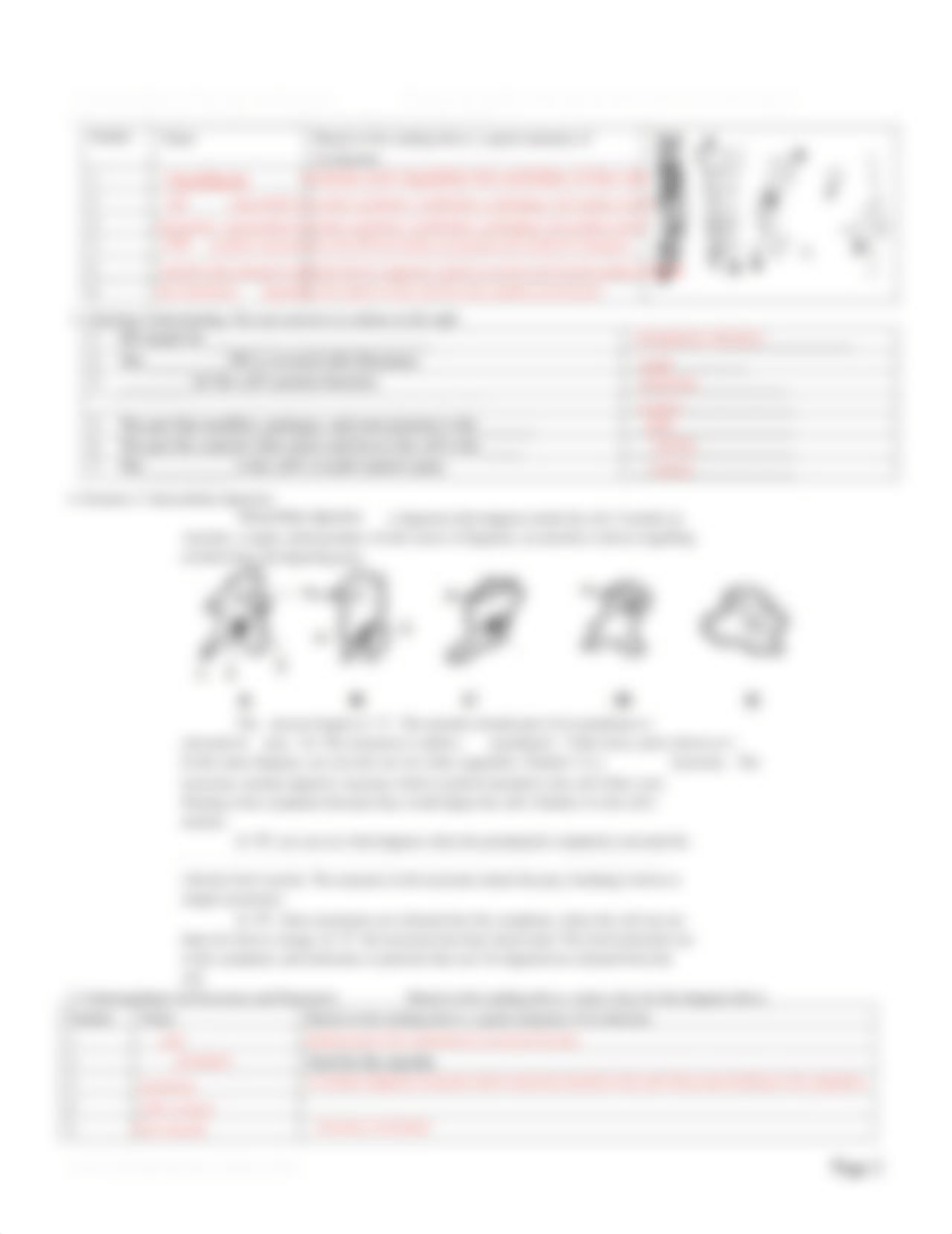 Endomembrane-system-worksheet (1).pdf_dovu39tnvt9_page2