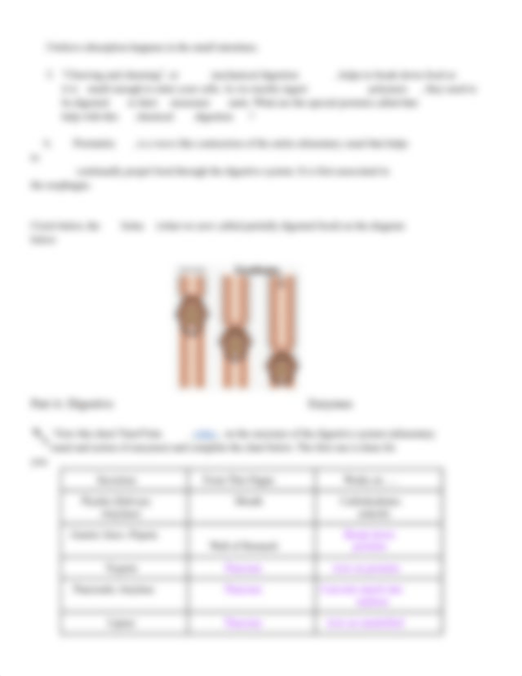 Virtual Lab Digestive System .docx_dovzkloutxz_page2