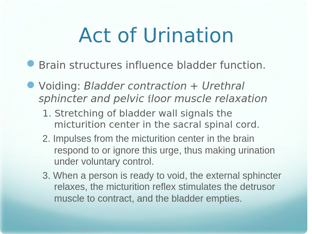 Urinary Elimination Lecture Slides_dow2a1kv881_page5