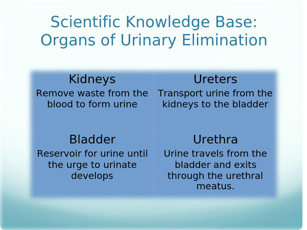 Urinary Elimination Lecture Slides_dow2a1kv881_page2