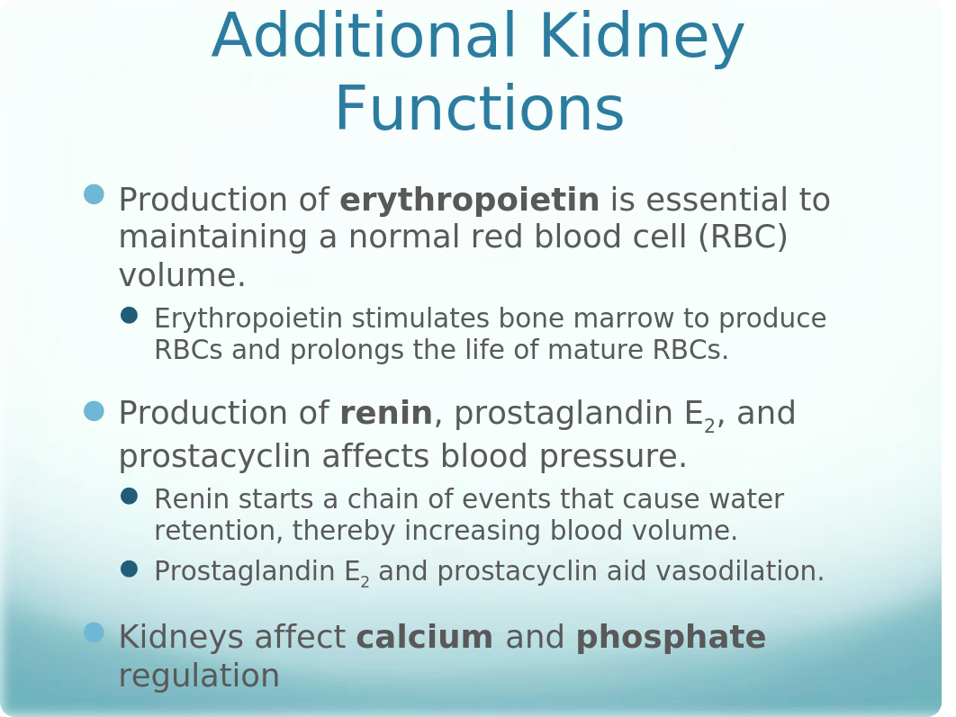 Urinary Elimination Lecture Slides_dow2a1kv881_page4