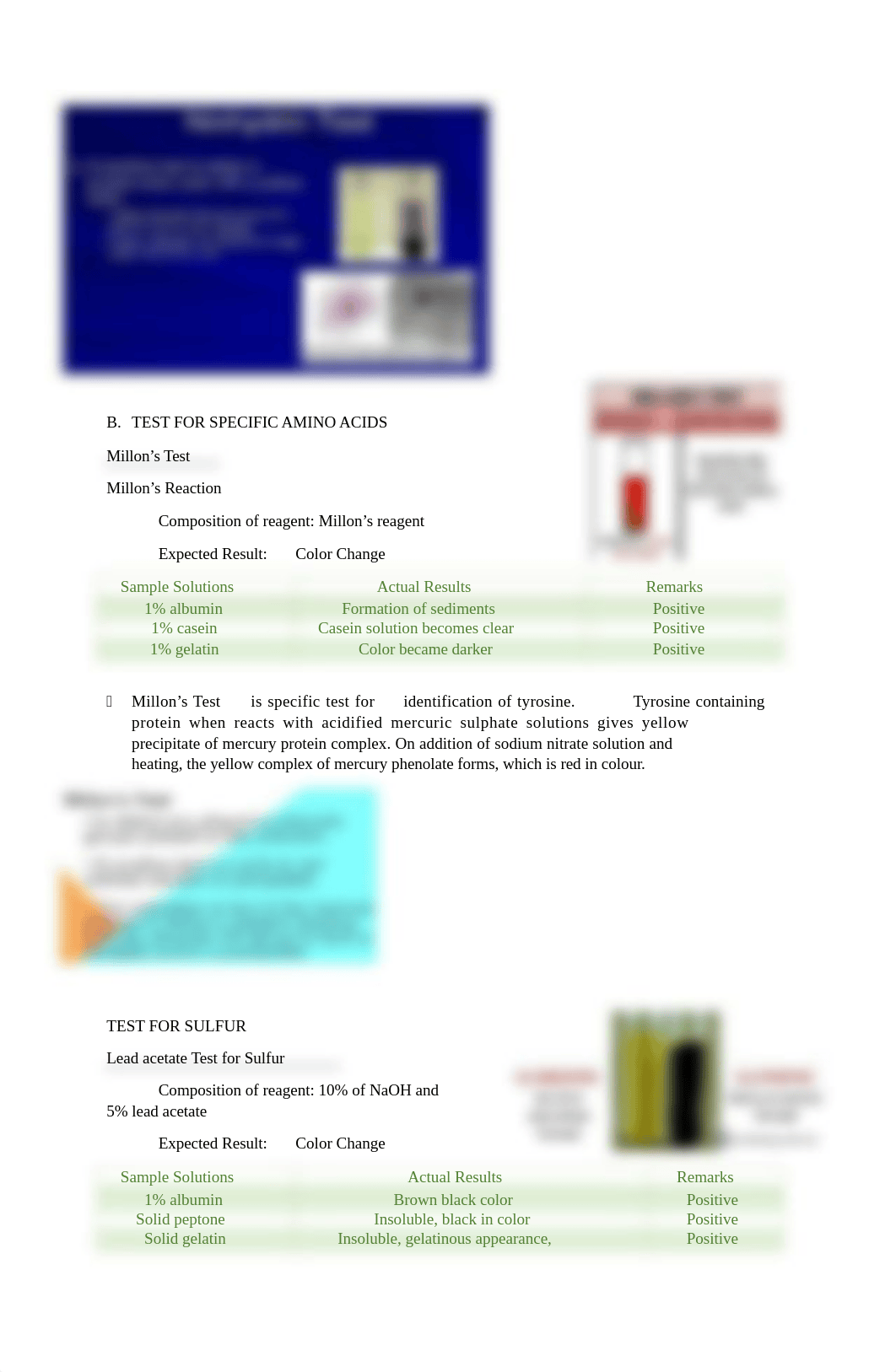 Experiment # 4.docx_dow3wpsk7vz_page2