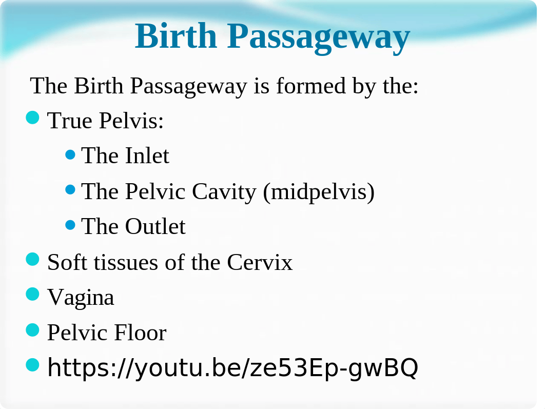 Chapter 16 Labor & Birth Processes.ppt_dow52odsv27_page4