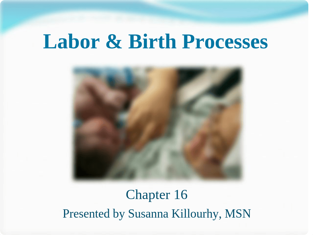 Chapter 16 Labor & Birth Processes.ppt_dow52odsv27_page1