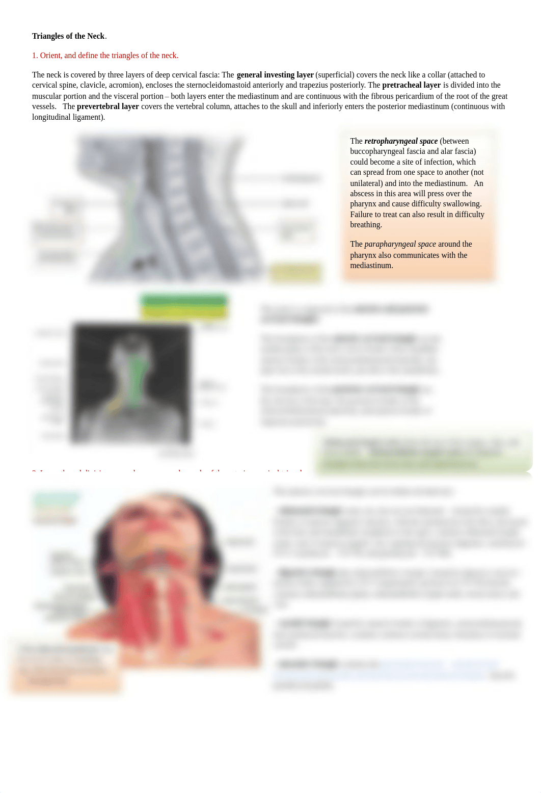 Triangles of the Neck.pdf_dow5cxtnncp_page1