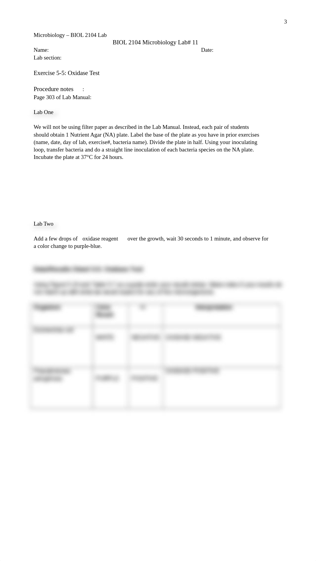 lab 11.docx_dow7jq5kg1b_page3