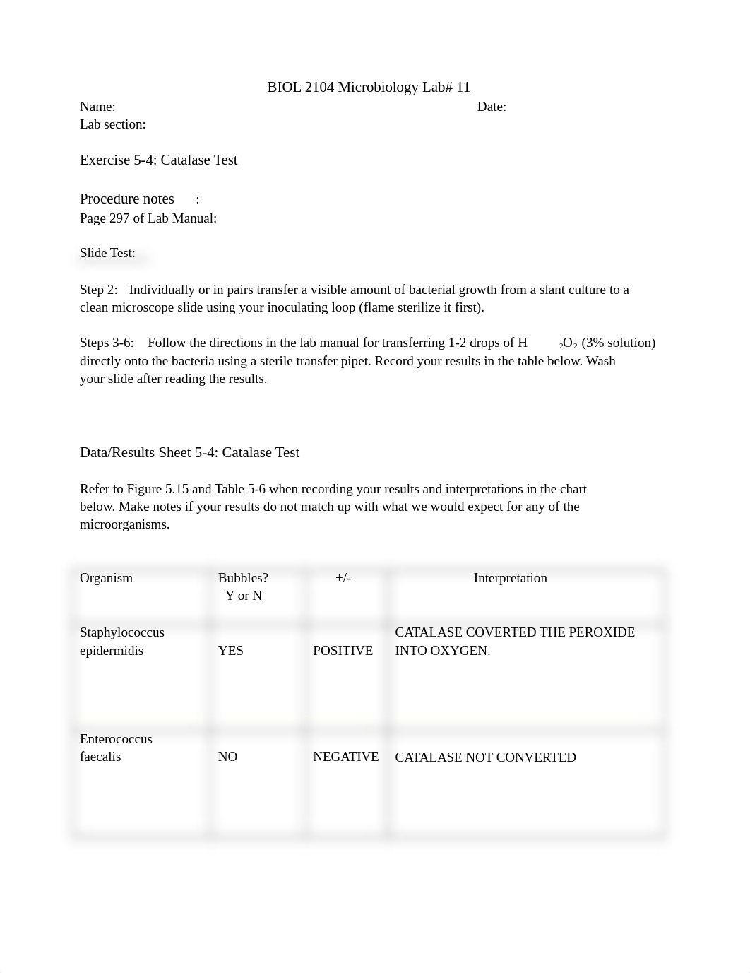 lab 11.docx_dow7jq5kg1b_page1