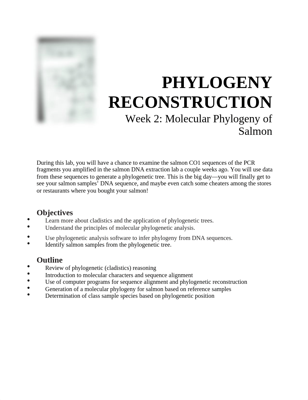 09PhylogenySalmonF19_DC.docx_dowccbzws2p_page1