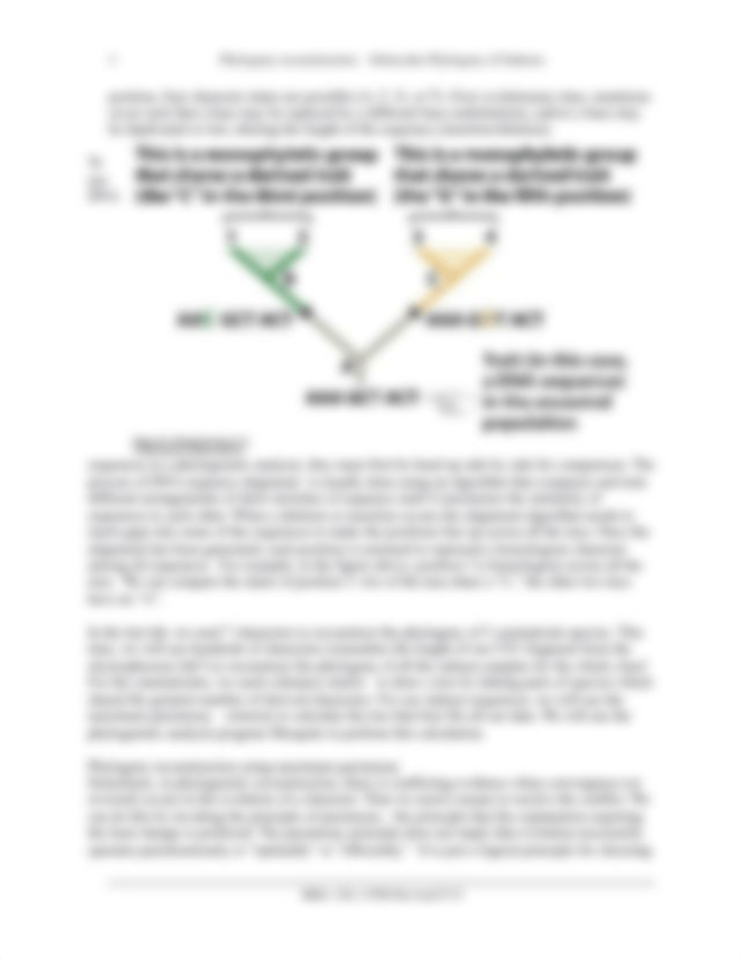 09PhylogenySalmonF19_DC.docx_dowccbzws2p_page3