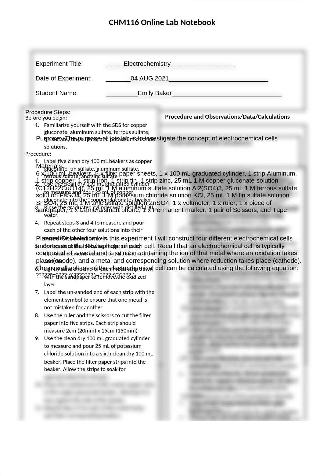 CHM116 OnLine Lab Notebook Form (a)-4.docx_dowjmp8lexm_page1