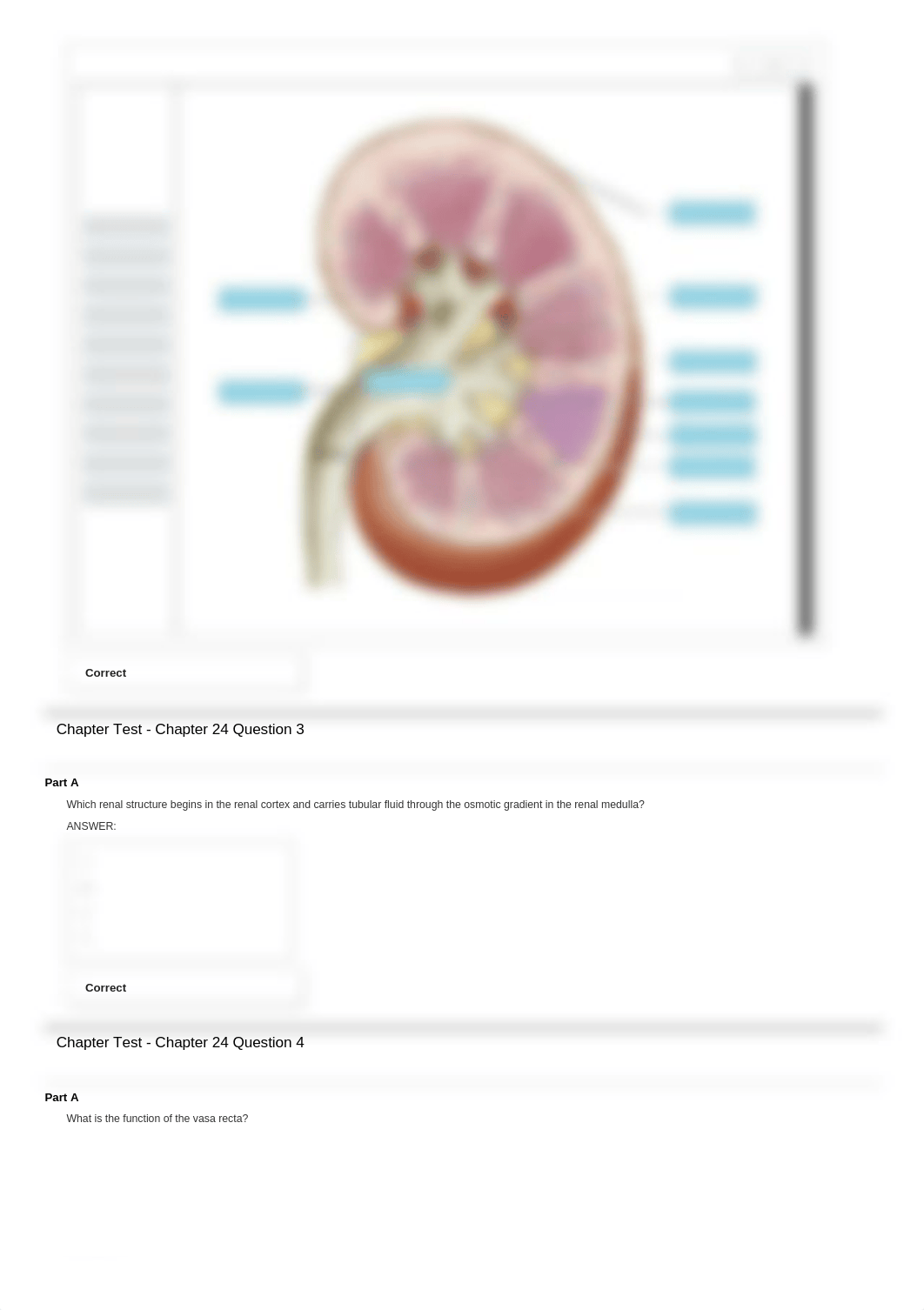 Ch 24 HW.pdf_dowlvltpn2c_page2