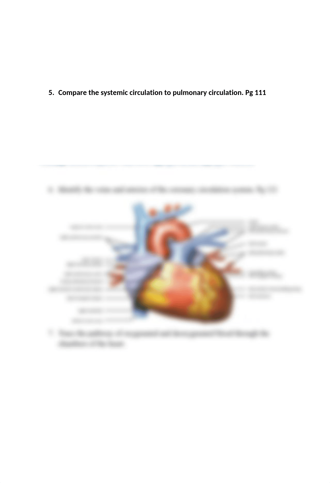 Test 2 Study Guide_dowp8k1wtpg_page2