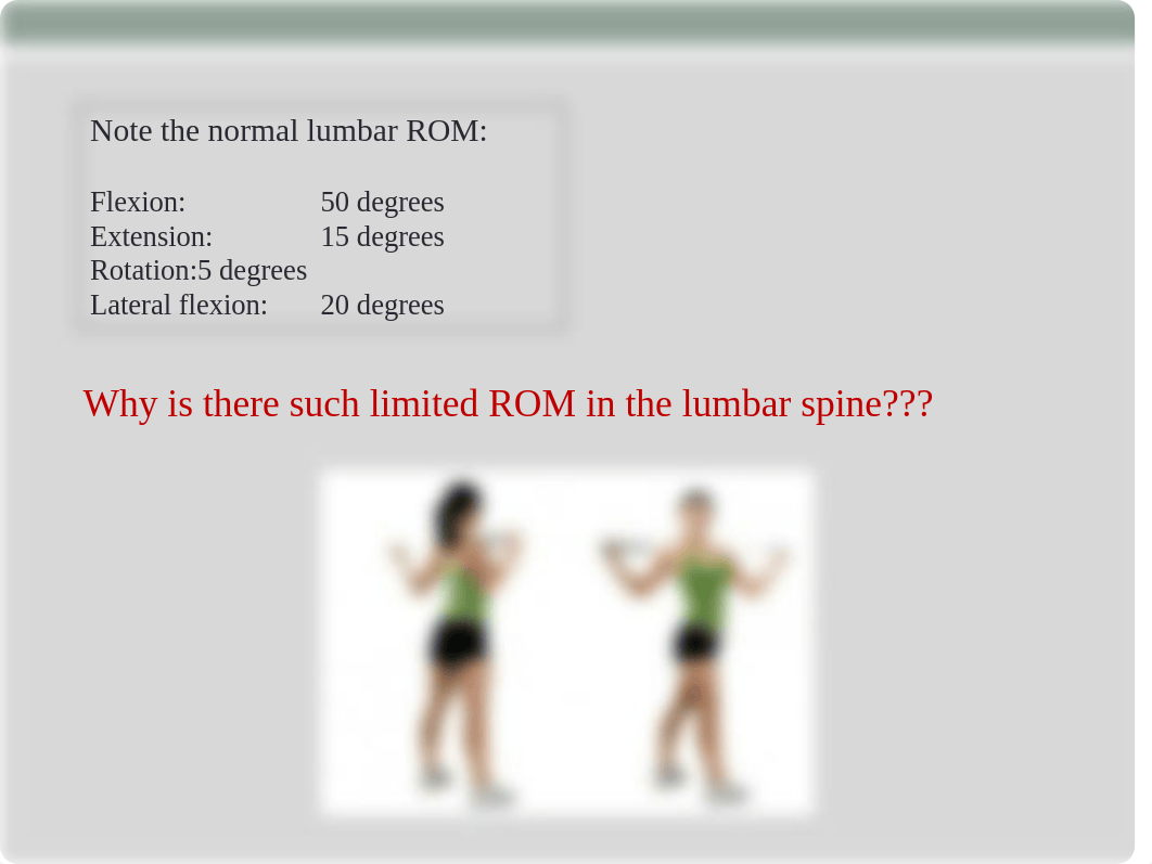 Lumbar AROM and Inclinometry.ppt_dowqbota3c9_page4