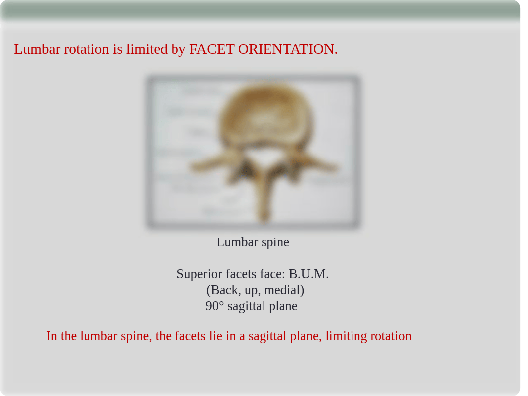 Lumbar AROM and Inclinometry.ppt_dowqbota3c9_page5