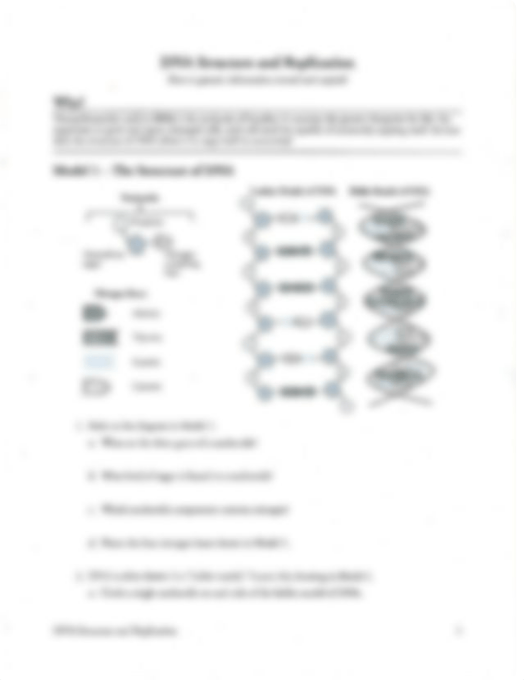 DNA str and replication_dowttc22p0p_page1