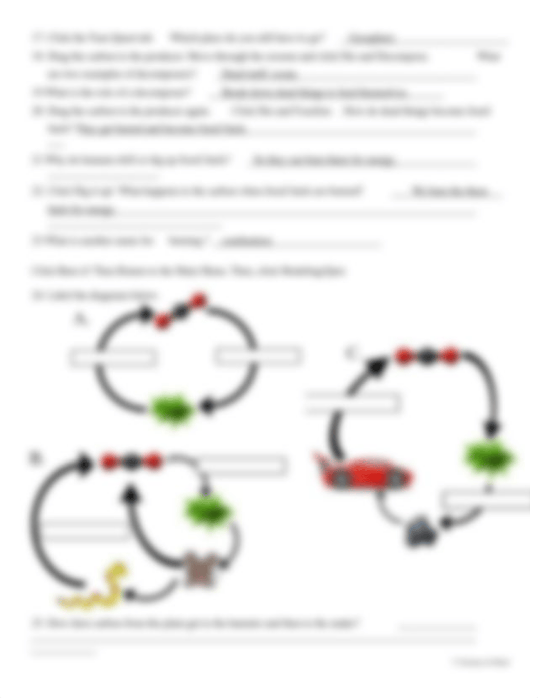 Carbo cycle..docx_dowvewdhj80_page2