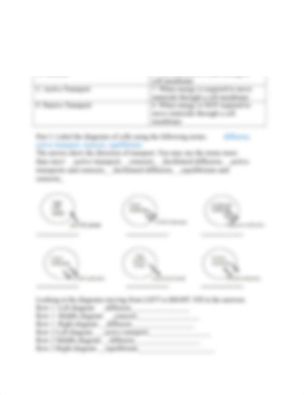 Cell Membrane Transport Worksheet .docx_dox6d2chjsr_page2