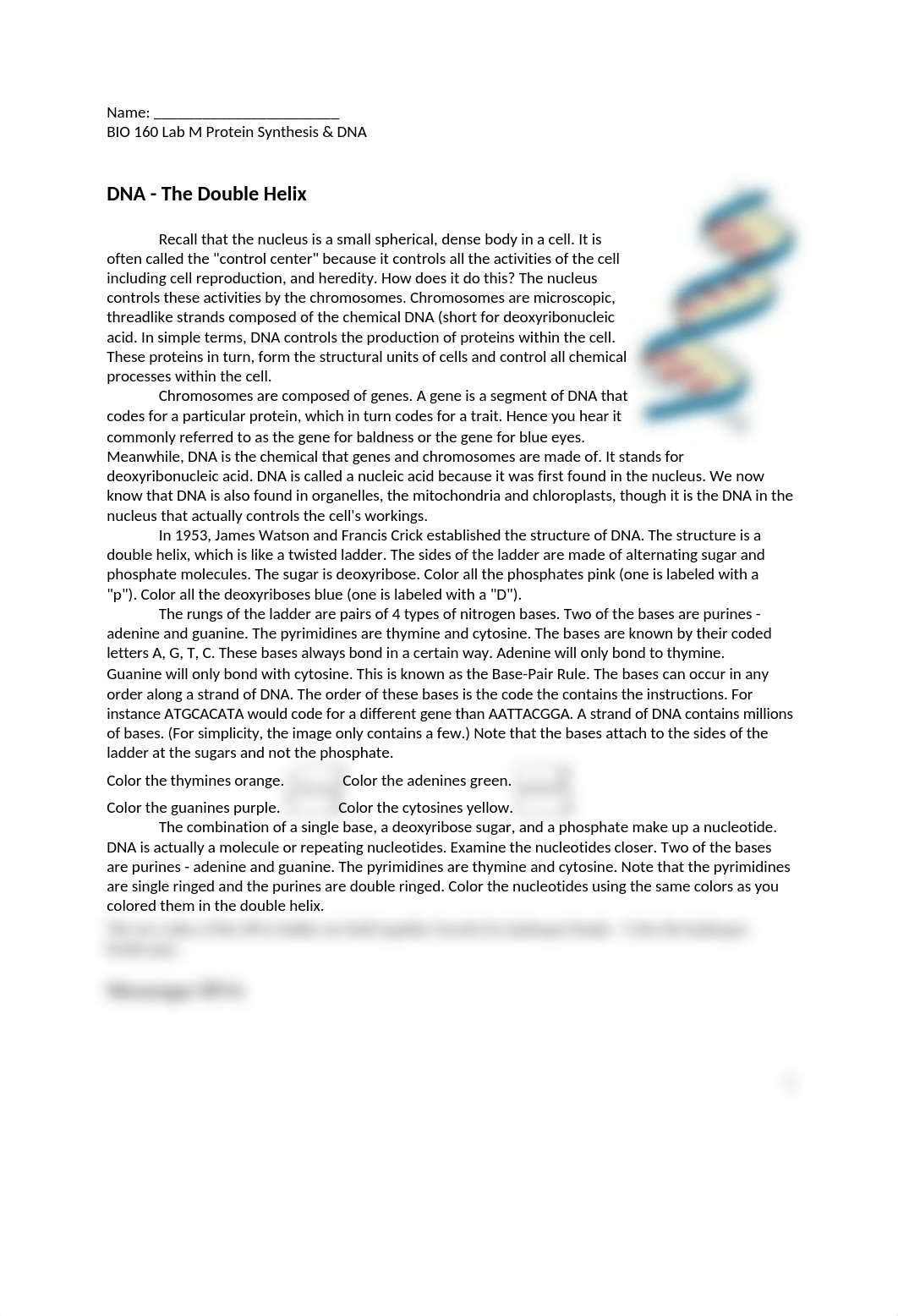 bio 160 lab M protein synthesis DNA_dox7e6b0vfg_page1