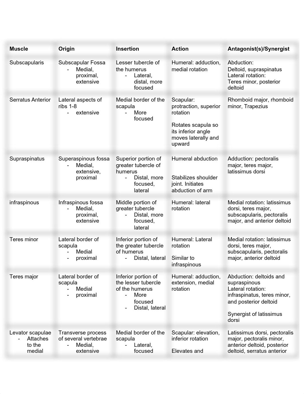 Muscles.pdf_doxb79k8yfx_page1