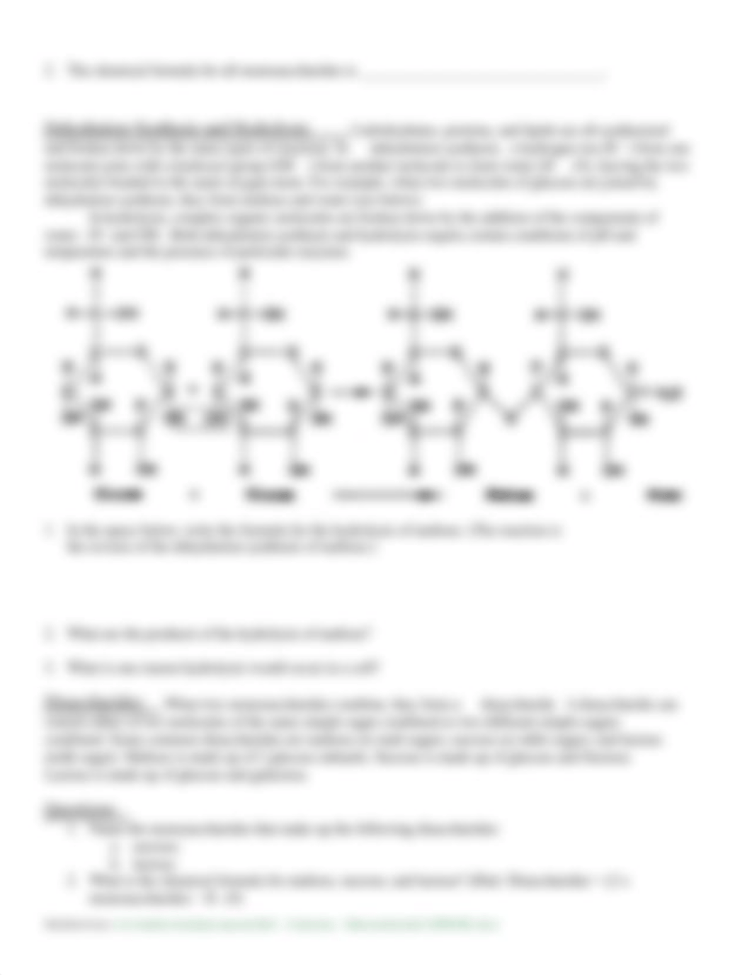 Macromolecules+POGIL-1.docx_doxbbgez5rq_page2