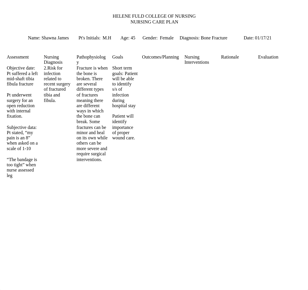 Care Plan 41 NU221.docx_doxgdcm7287_page1