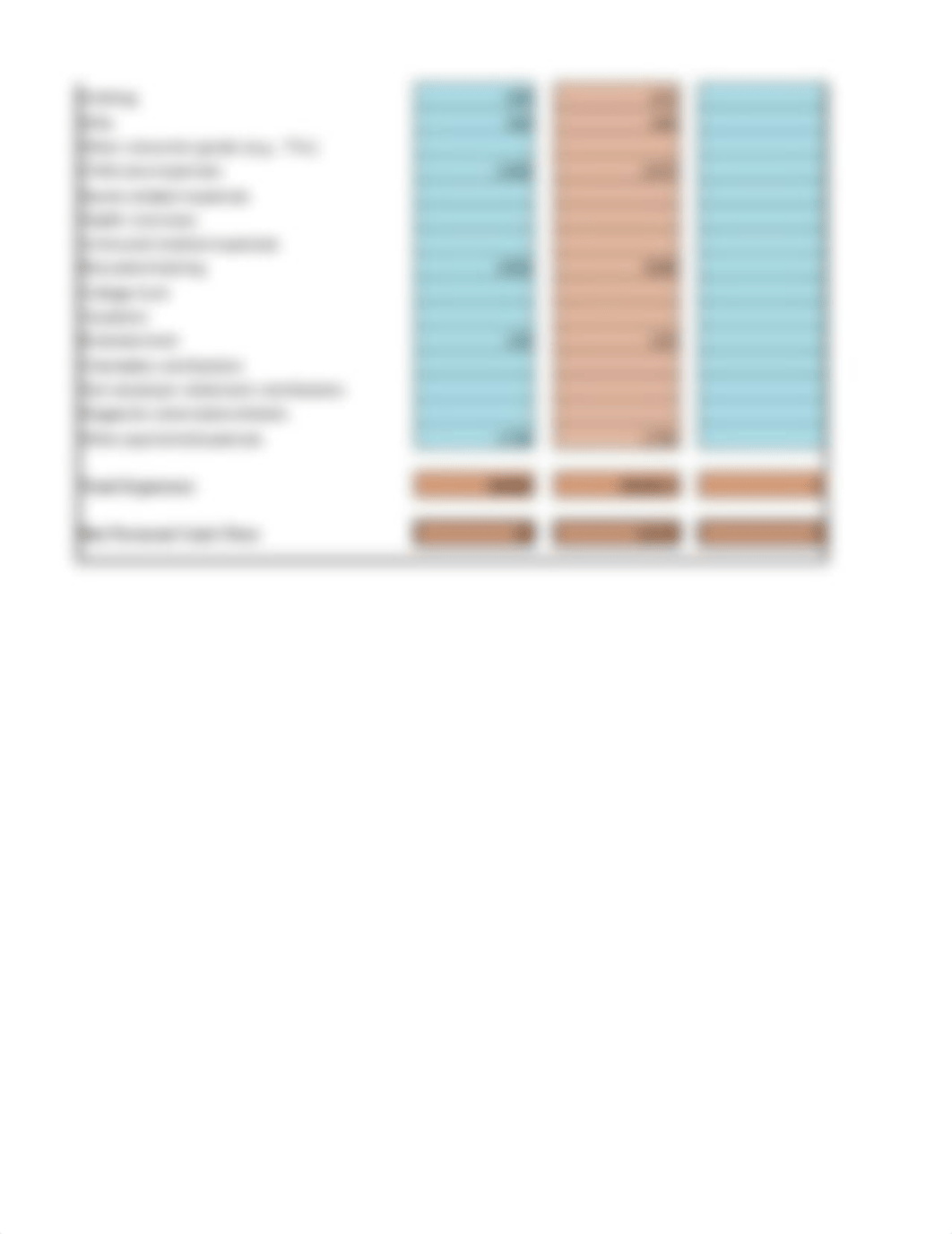 Copy of Excel_Worksheet_3.1_PFP_Household_Budget.xlsx_doxpzc0g4dh_page2