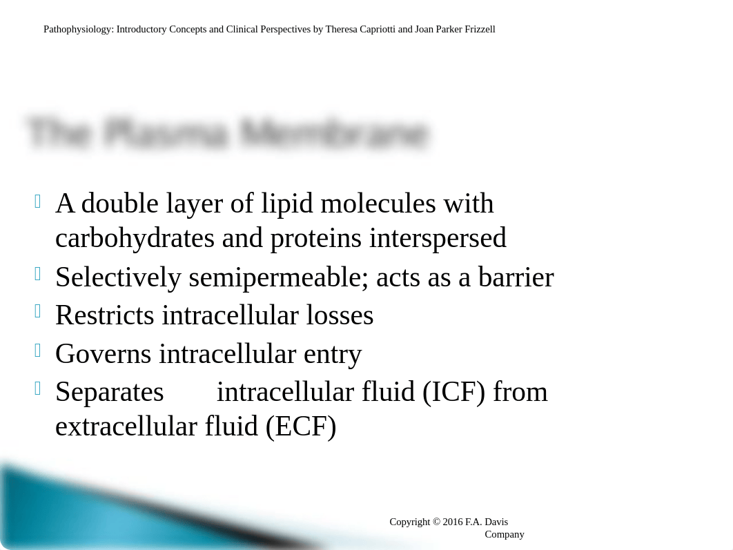 1.0NUR280 Chpt 1,2,3,4,5,6.ppt_doxr9xso16v_page4