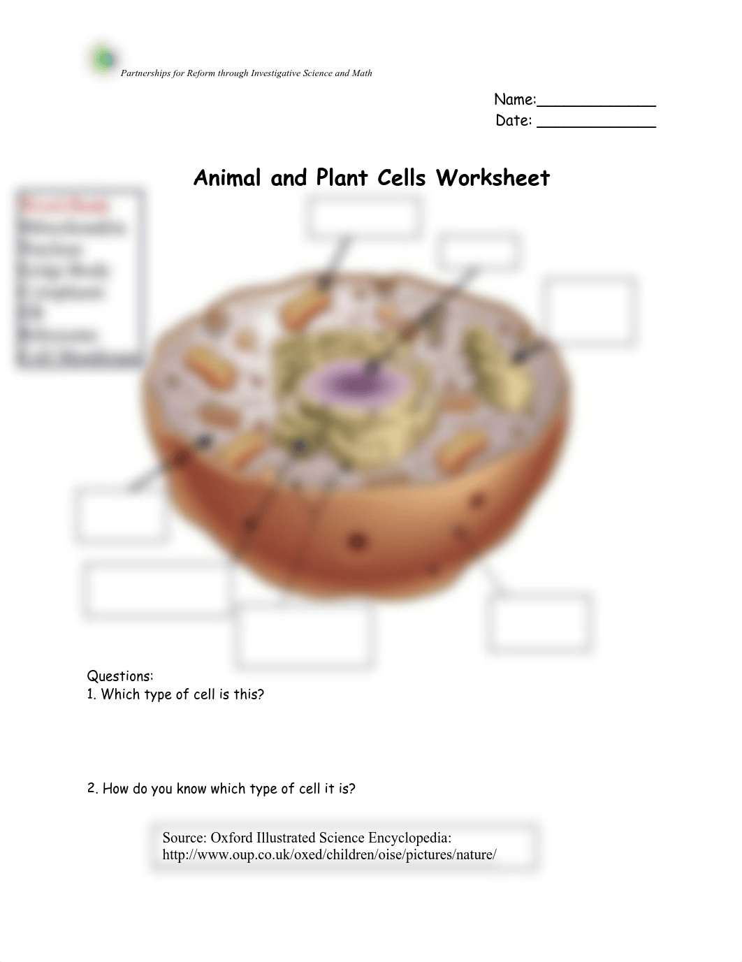 cells practice worksheet 2.pdf_doxrnrxsfy8_page1