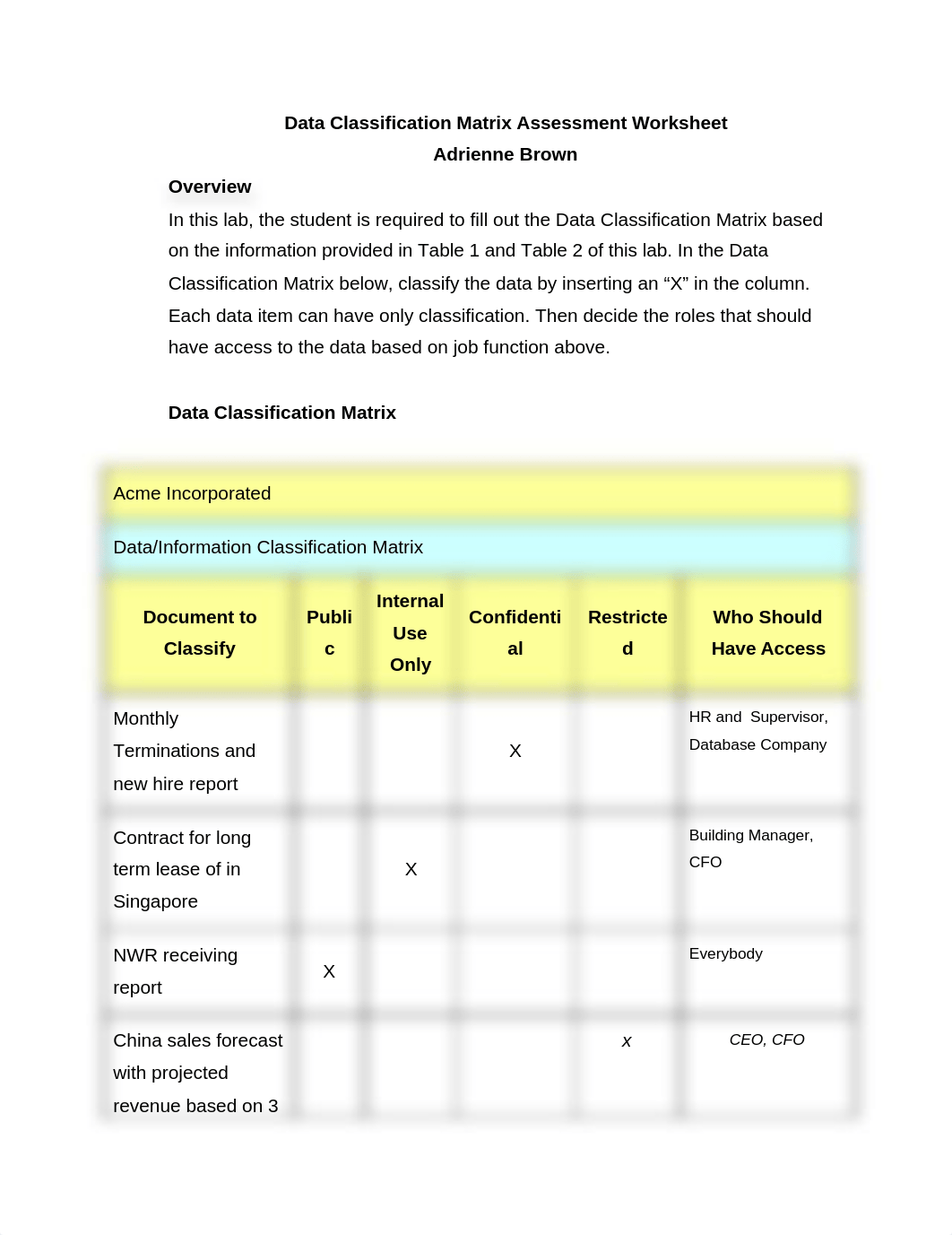 Data Classification Matrix Assessment Worksheet_doxsp03v8i6_page1