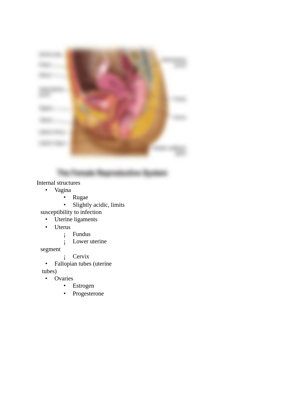 OB Exam 1.docx_doxvlm2gtre_page2