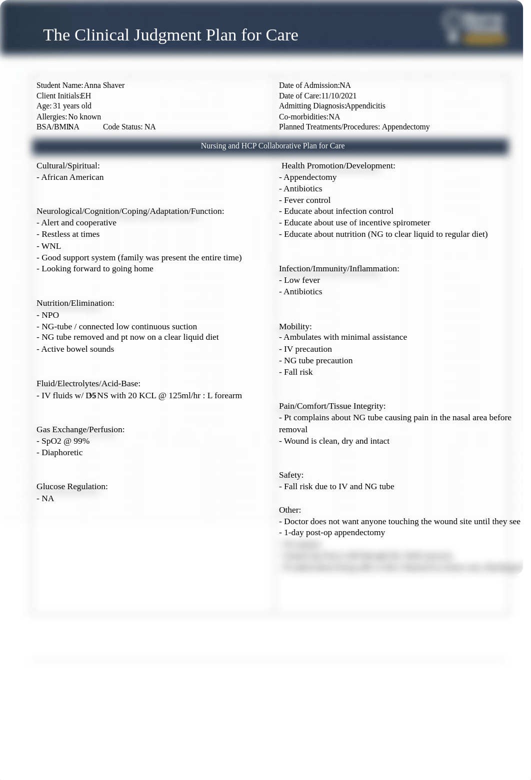 Clinical Judgment Plan for Care - fall 20213 Wk11.pdf_doy8okkyxaw_page1