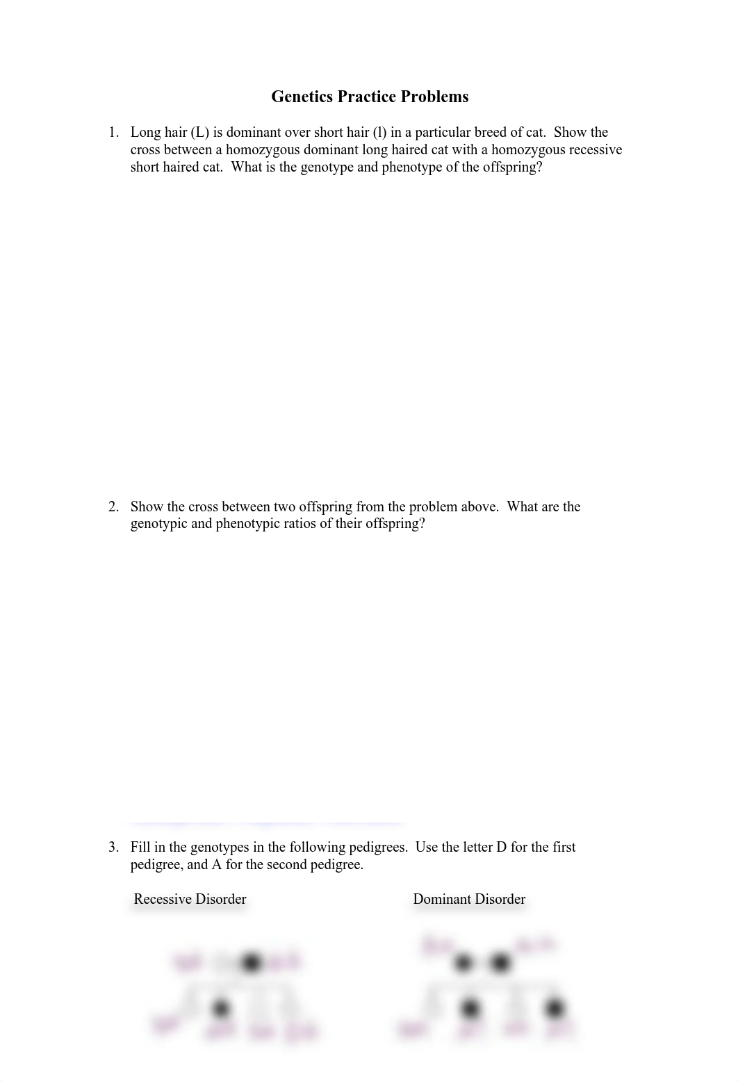 Hisabel Garcia Chapter 8 Genetics problems.docx.pdf_doya87r64e4_page1