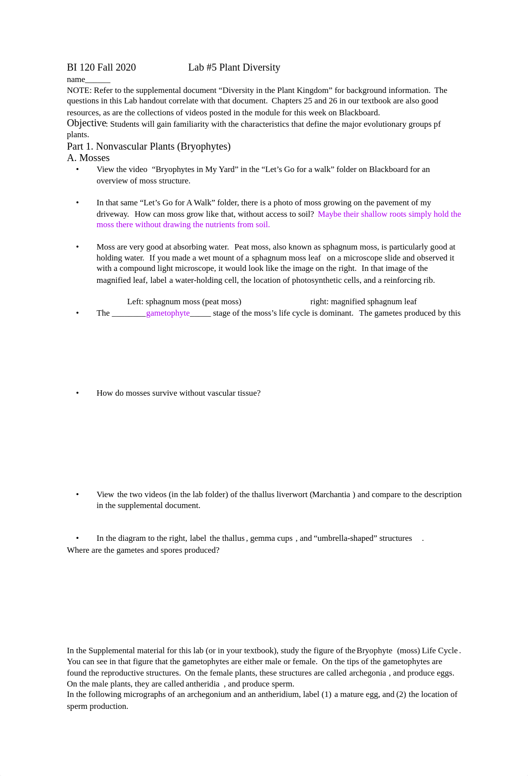 BI 120 Lab #5 Plant Diversity-2 pdf.pdf_doycur8eks1_page1