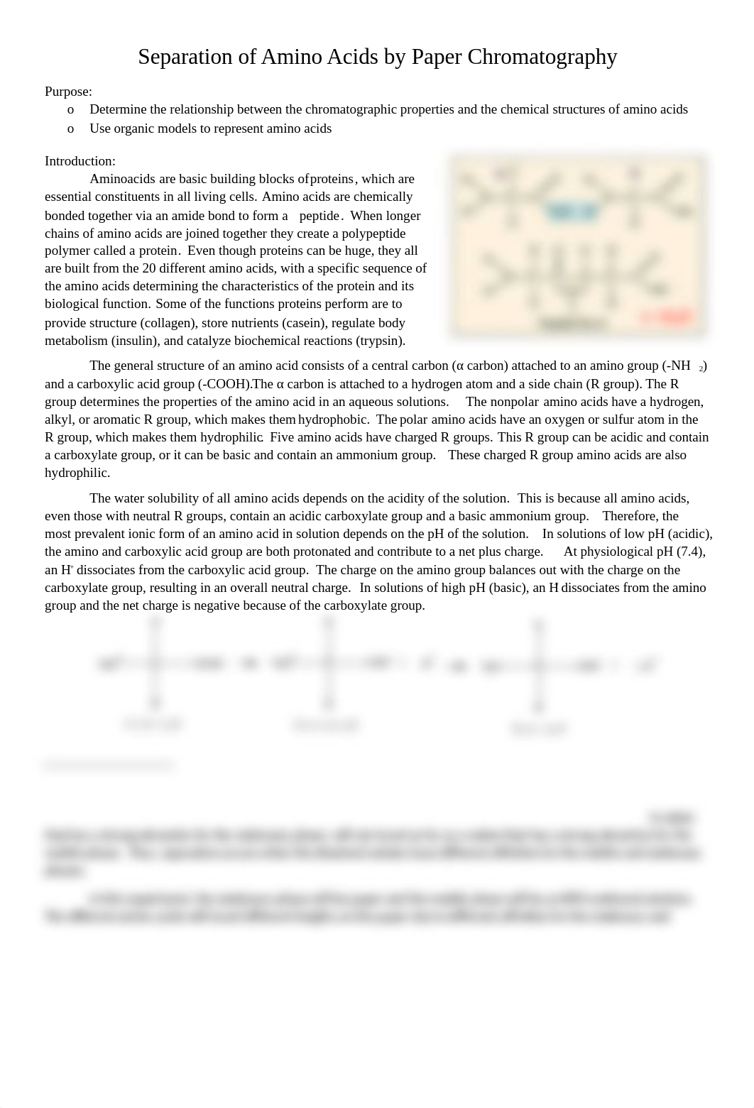 Separation of Amino Acids by Paper Chromatography Lab.docx_doylmafzdbp_page1