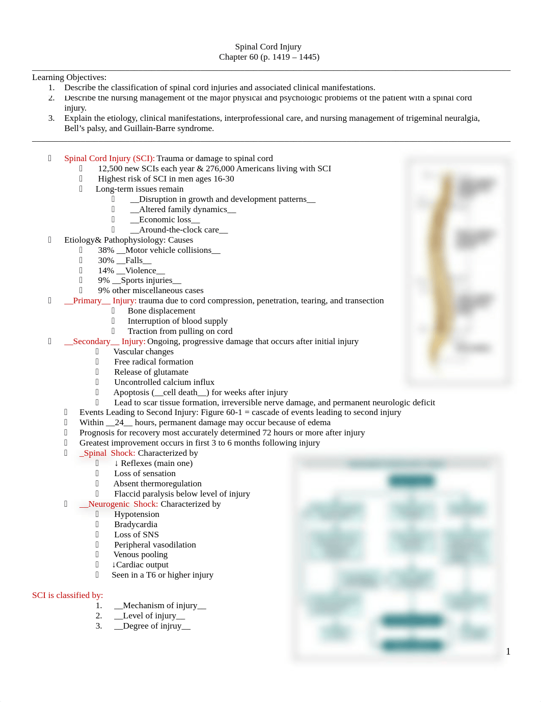 Spinal Cord Injury  Peripheral Nerve Problems Notes.docx_doymt23634i_page1