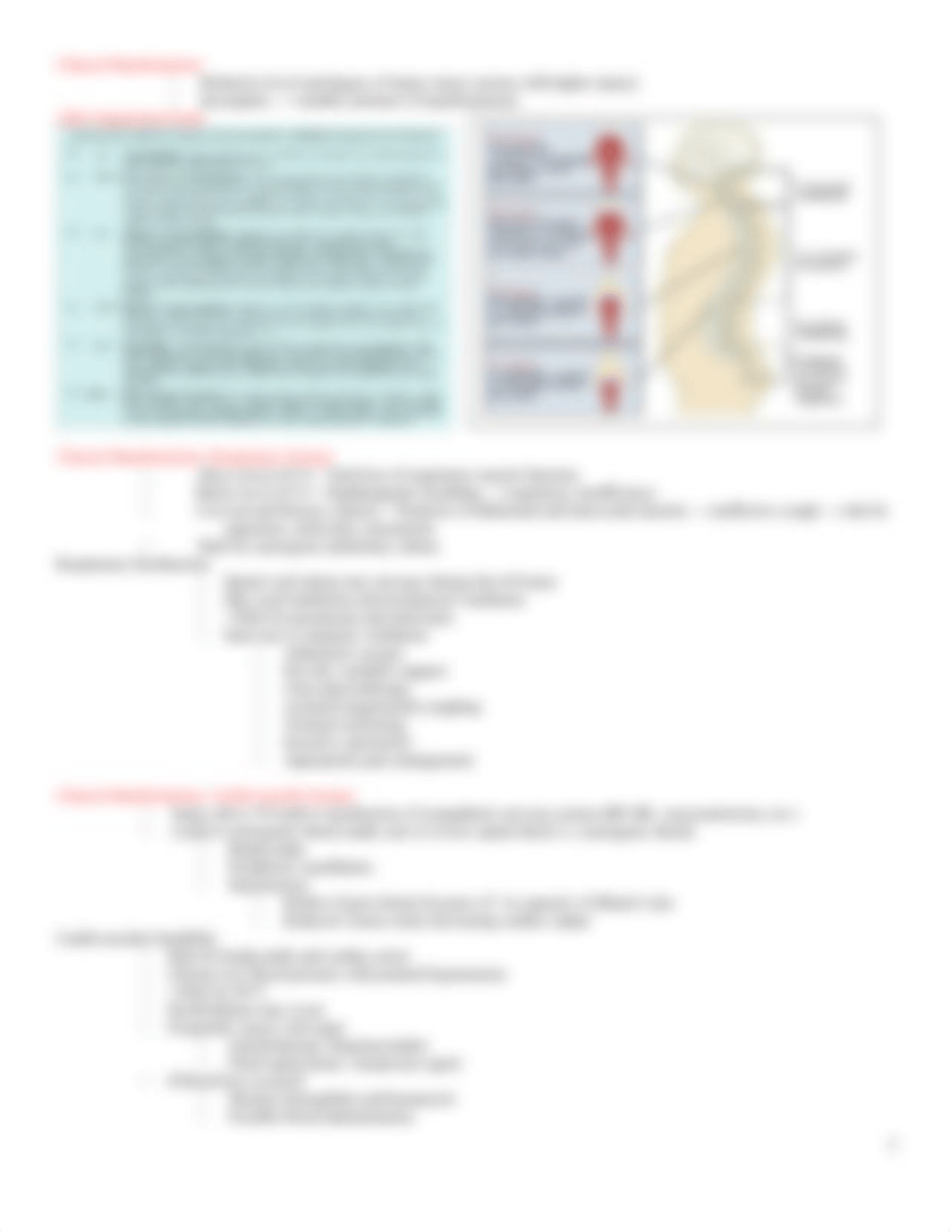 Spinal Cord Injury  Peripheral Nerve Problems Notes.docx_doymt23634i_page3