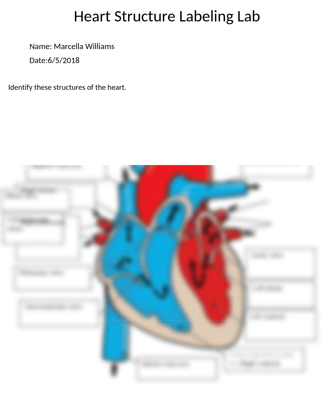 Heart structure label lab (MW).docx_doyni98i8q9_page1