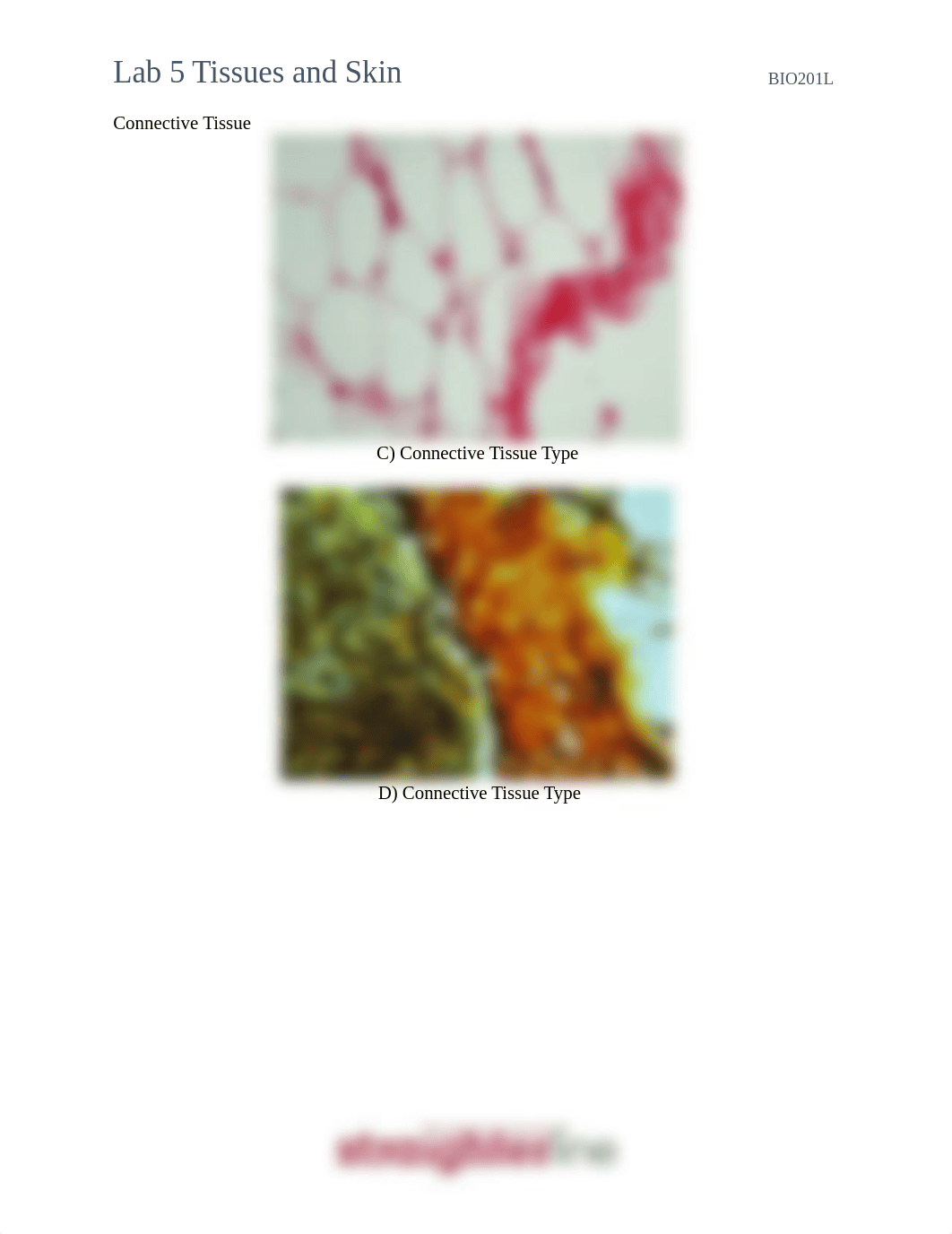 BIO201L+Lab+5+Tissues.docx_doyp7ewcgn5_page4