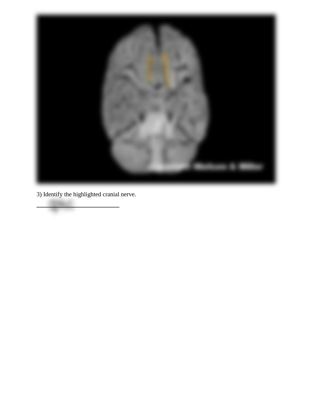 31_cranial_nerves_anatomy_and_physiology_Worksheet.pdf_doyqvj9b5hn_page2