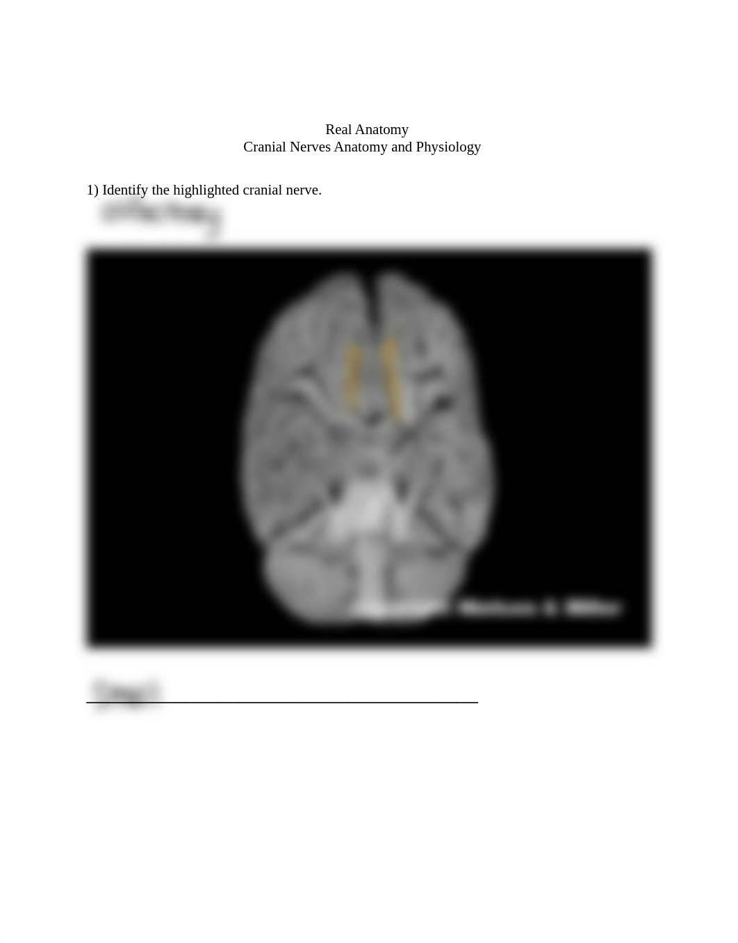 31_cranial_nerves_anatomy_and_physiology_Worksheet.pdf_doyqvj9b5hn_page1